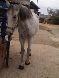 IMG00068-20111022-1246