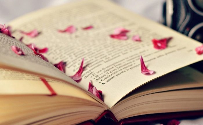 Les formes de&nbsp;l’amor