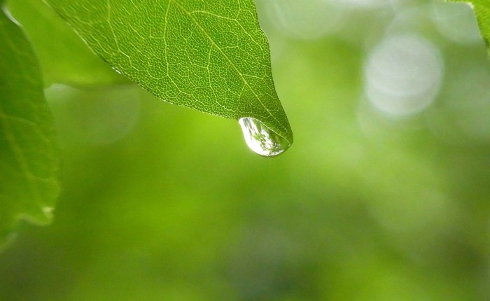 Una gota de&nbsp;silenci